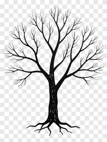 Black Tree Drawing PNG