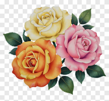 Three Roses In Soft Colors PNG