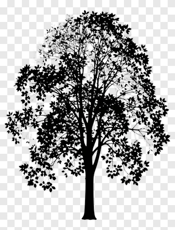Black Tree Silhouette PNG