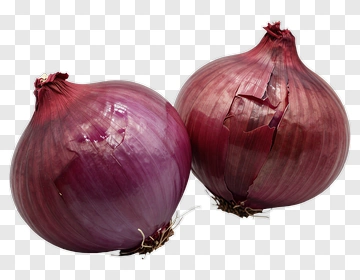 Two Red Onions PNG