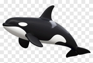 Orca In 3D Render PNG
