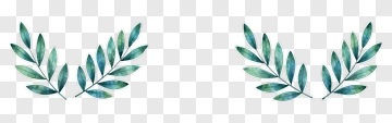 Watercolor Leaf Branches PNG