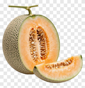 Fresh Cantaloupe Melon PNG