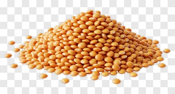 Pile Of Orange Lentils PNG