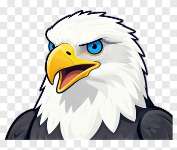 Bald Eagle PNG