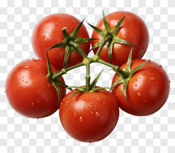 Fresh Red Tomatoes PNG