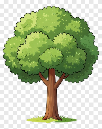 Cartoon Tree With Full Canopy PNG