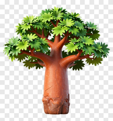 Baobab Tree With Green Leaves PNG