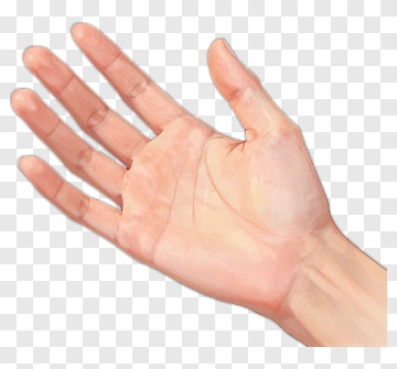 Human Hand Opened PNG