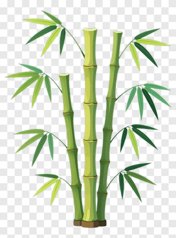 Bamboo PNG