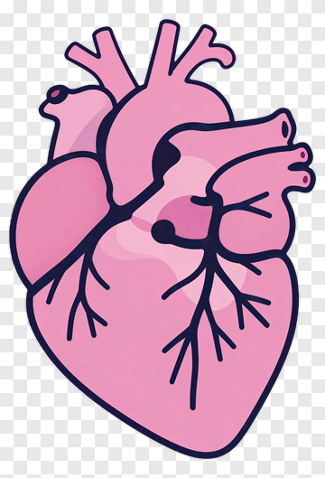 Heart PNG