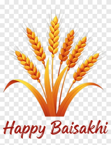 Happy Baisakhi Wheat Celebration PNG