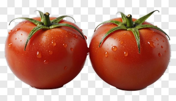 Two Fresh Tomatoes With Water Droplets PNG