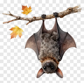 Bat Hanging From Branch With Autumn Leaves PNG