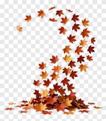 Autumn Maple Leaves PNG