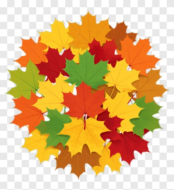 Autumn Maple Leaves Cluster PNG