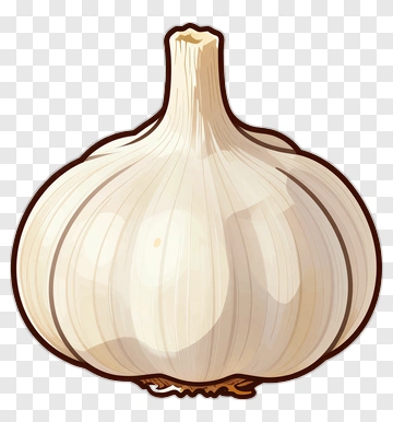Garlic PNG