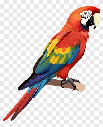 Macaw Perched On Branch PNG