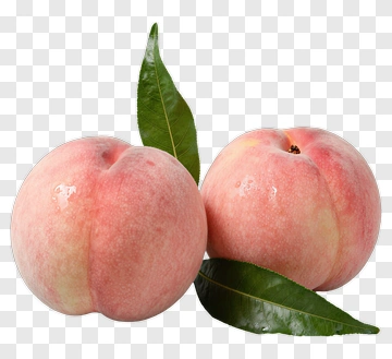 Fresh Peach With Leaf PNG
