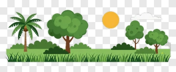 Tropical Landscape With Palm Trees And Grass PNG
