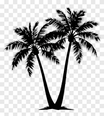 Two Palm Trees Silhouette PNG