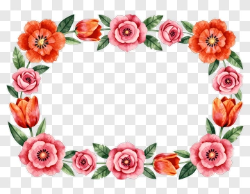 Watercolor Flower Frame With Tulips And Poppies PNG