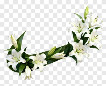 White Lily Flower Arrangement PNG