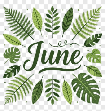 June Leaf Design PNG