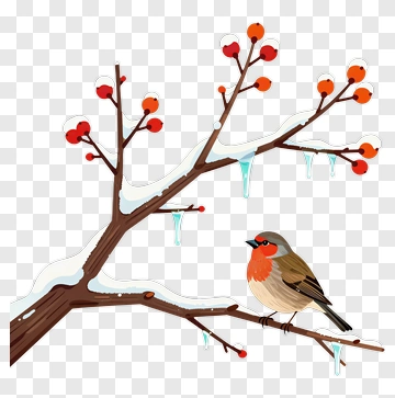 Bird On Winter Branch With Berries PNG