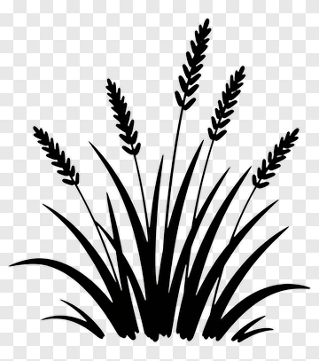 Black Silhouette Of A Plant PNG