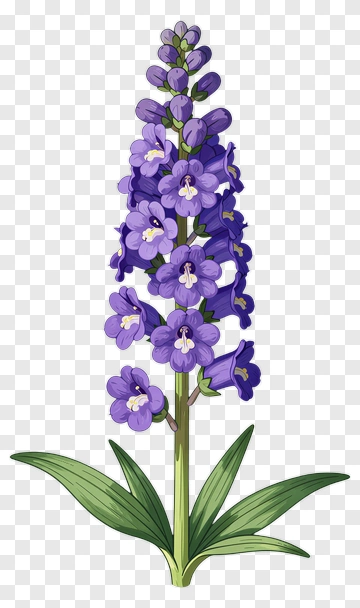 Purple Bell Flower With Green Leaves PNG