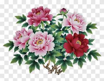 Peony Flower Bouquet PNG