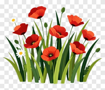 Red Poppies And White Daisies In Grass PNG