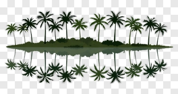 Island With Palm Trees PNG