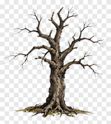 Bare Tree With Deep Roots PNG