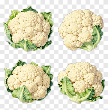 Fresh Cauliflower PNG