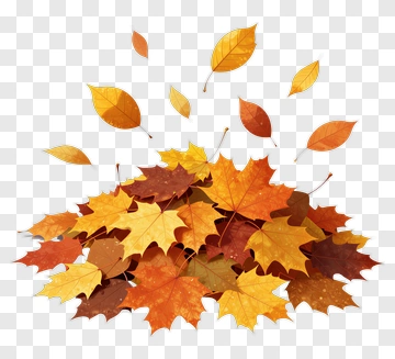 Falling Autumn Leaves In Warm Colors PNG