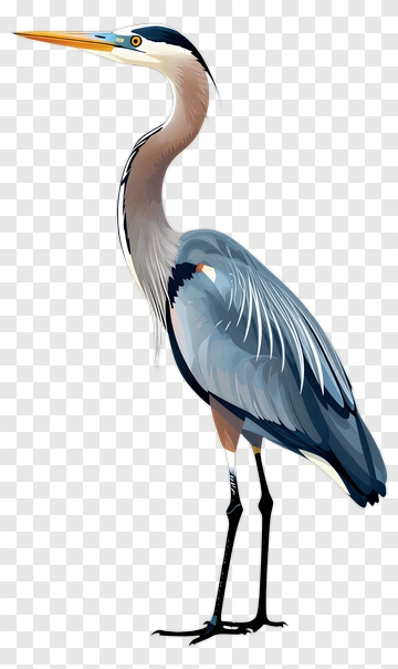 Heron PNG