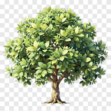 Cartoon Tree PNG