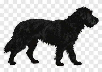 Black Dog Silhouette PNG