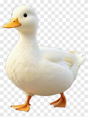 White Duck With Orange Beak And Feet PNG