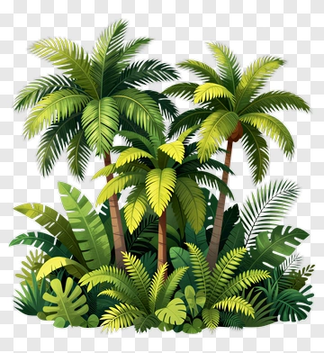 Tropical Palm Tree And Jungle Foliage PNG