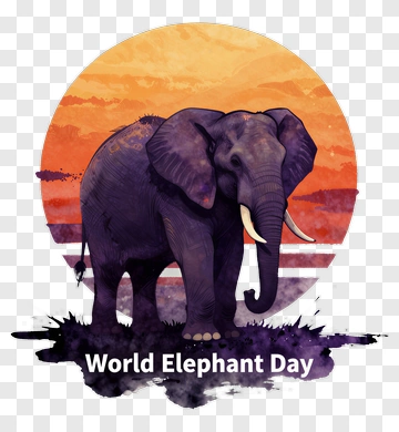 Elephant At Sunset PNG