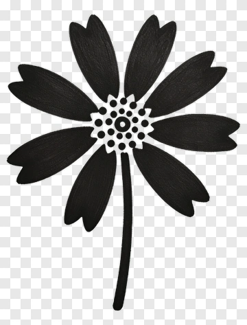 Black Flower Illustration PNG