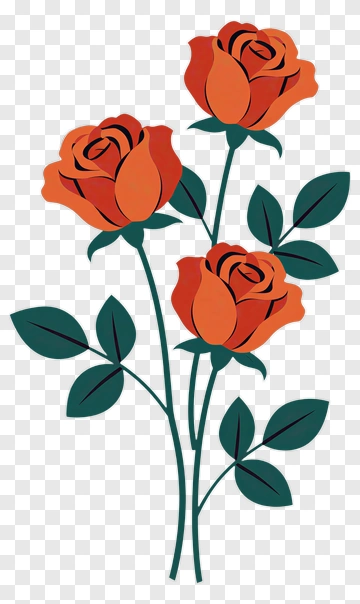 Three Orange Roses With Green Leaves PNG