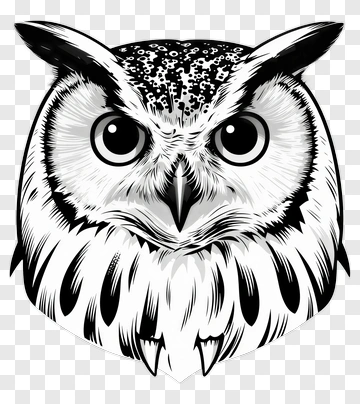 Owl Head Illustration PNG