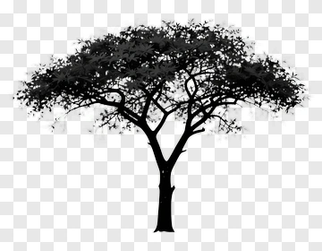 Black Tree Silhouette PNG