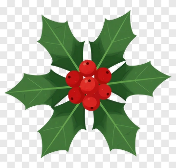 Holly With Red Berries PNG