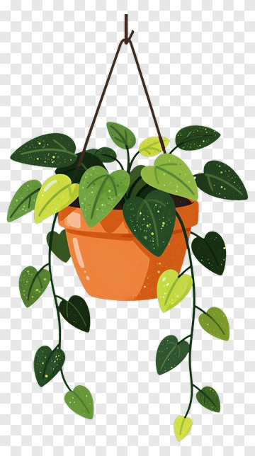 Hanging Plant With Orange Pot PNG