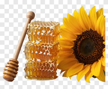 Honeycomb With Dipper And Sunflower PNG